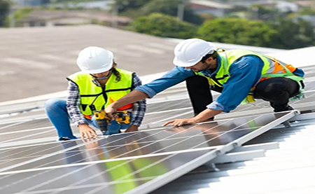 速看，這所2W人高校如何利用暑期，快速搭建綠色校園